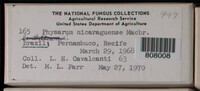 Image Associated With the Occurence